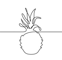 Drawing Line Pineapple On The White Background. Vector