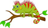 Fototapeta Zwierzęta - cartoon cute iguana on white background