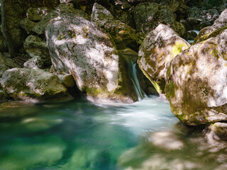 small river deep in the green forests