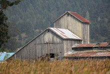 A Vintage Barn On The California Humboldt State Reserve Wetlands Reserve For Conservation Of Wetland Wildlife In Northern California