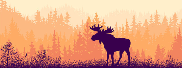 Wall Mural - Horizontal banner. Silhouette of moose standing on meadow in forrest. Silhouette of animal, trees, grass. Magical misty landscape, fog. Orange, black and pink illustration. Bookmark.