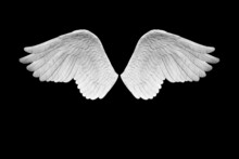 Concrete Angel Wings Plumage Isolated On Black Background With Clipping Path