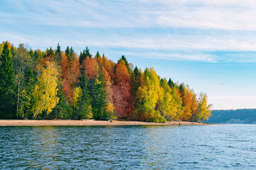 Wall Mural - panoramic view of the bright colorful trees along the bank of the kama river russia perm krai. autum