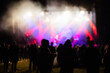 © Melinda Nagy - crowd at concert and silhouettes in stage lights