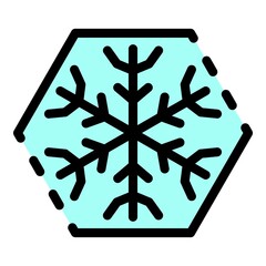 Poster - Snowflake in a hexagon icon. Outline snowflake in a hexagon vector icon color flat isolated