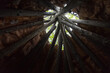 Low angle view of the inside of a wood and birch bark traditional native tipi, Gaspé, Quebec, Canada