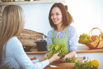 Wall Mural - Two women friends choose the recipe and ingredients for a delicious meal while sitting in sunny kitchen. Vegetarian concept