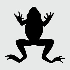 Frog Silhouette, Frog Isolated On White Background