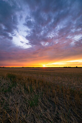 Wall Mural - the sun sets over a field of wheat stubble