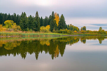 Wall Mural - panoramic view of the bright colorful trees along the bank of the kama river russia perm krai. autum