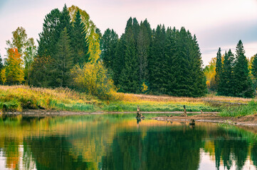 Wall Mural - panoramic view of the bright colorful trees along the bank of the kama river russia perm krai. autum