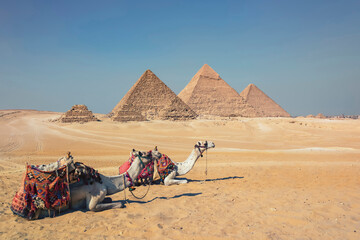 Wall Mural - The Pyramids of Giza in Egypt