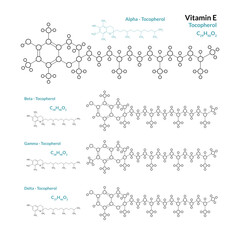 Sticker - Vitamin E. Tocopherol. Fat soluble Antioxidant. C29H50O2. The Structural Formula of a Chemical Compound. Line Graphic Representation of the Molecular Structure. Vector Illustration