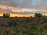 Fototapeta Sawanna - sunset over the field