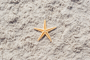 Wall Mural - Gold starfish on a sandy beach. Top view, flat lay