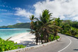 Coral sandy beach among the palm trees along the road. Seychelles.
