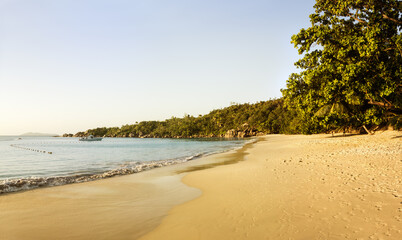 Wall Mural - White coral beach sand and azure indian ocean.