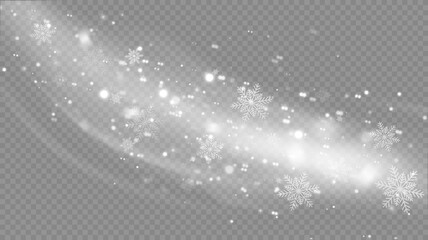 Wall Mural - vector snowfall isolated. winter background. snow overlay illustration. snowflakes and ice.