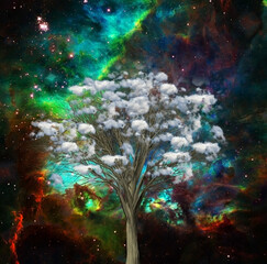 Poster - the clouds tree