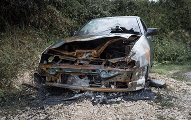 a burned car against a background of green vegetation