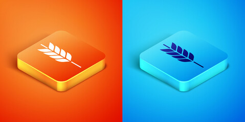 Poster - Isometric Cereals set with rice, wheat, corn, oats, rye, barley icon isolated on orange and blue background. Ears of wheat bread symbols. Vector