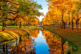 Fototapeta Natura - Obvodny canal in autumn in Alexander park, Tsarskoe Selo (Pushkin), Saint Petersburg, Russia