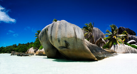 Wall Mural - White coral beach sand and azure indian ocean.