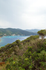 Western part of the little peninsula of Monte Enfola in Elba island in Italy with its nice big open bay 