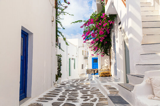 Wall Mural -  - Famous old town narrow street with white houses and Bougainvillea flower. Mykonos island, Greece