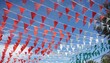 © Flor - Calle decorada con banderines de la bandera mexicana