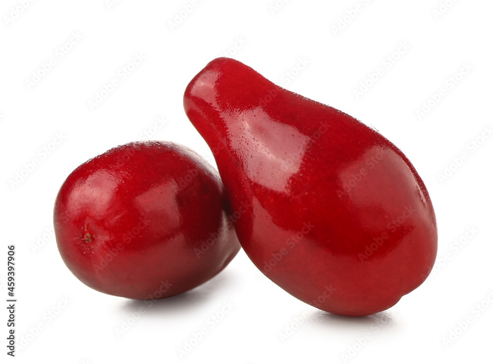 Ripe dogwood berries on white background