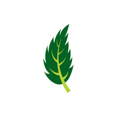 Wall Mural - leaf logo icon design template vector