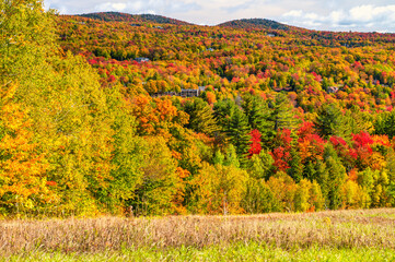 Wall Mural - Smugglers' Notch State Park in autumn, New England.