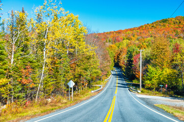 Sticker - Road across countryside in foliage season.