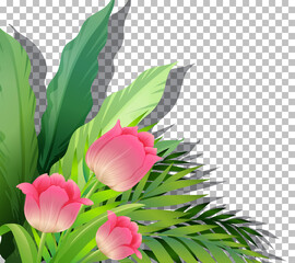 Poster - Tropical plant on transparent background