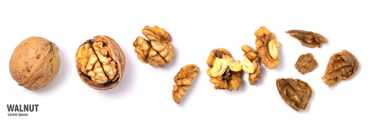 Wall Mural - Walnuts isolated on white background. Walnut kernels and whole walnuts