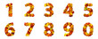 Numbers of autumn leaves isolated on white background. Set of numbers made of autumn leaves.