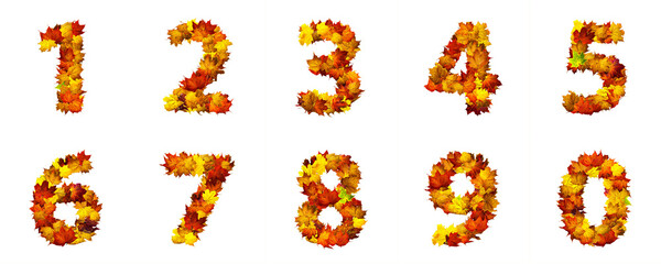 numbers of autumn leaves isolated on white background. set of numbers made of autumn leaves.