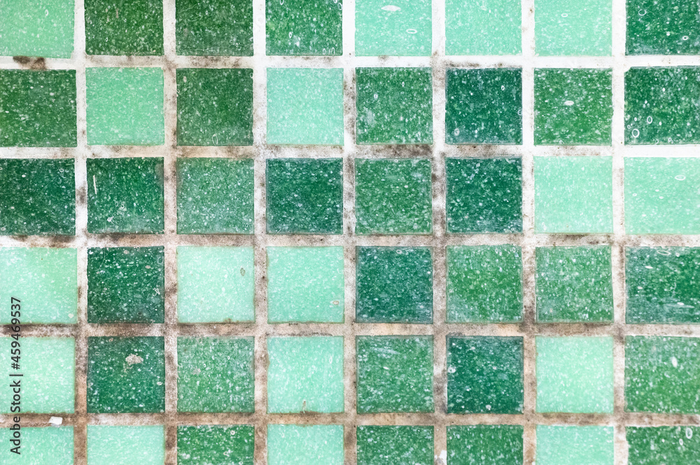 mold on joints between the ceramic tile in bathroom. old black toxic ...