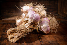 Bunch Of Young Violet Organic Garlic On Market In Provence, France