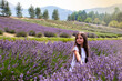 The little girl walking in the lavender field - portrait - lavender