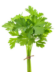 Canvas Print - Bunch of tied parsley