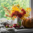 © okkijan2010 - Autumn still life on the window - a bouquet of mountain ash, pumpkin, apples and a knitted blanket. Cozy house interior