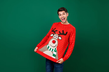 Poster - Portrait of attractive cheerful funky guy demonstrating funny deer ornament jumper isolated over green color background