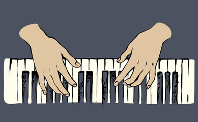 Wall Mural - Hands on the keyboard. Vector drawing