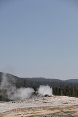 Wall Mural - geyser in park national park