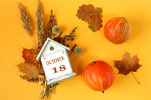 Calendar For October 18 : Decorative House With The Name Of The Month In English And The Number 18 On Bouquets Of Dried Flowers, Two Orange Pumpkins On A Yellow Background, Top View