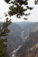 Wall Mural - fog in the mountains