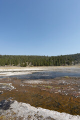 Wall Mural - park national park