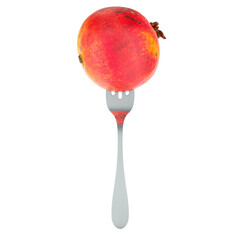 Wall Mural - Pomegranate on fork, 3D rendering